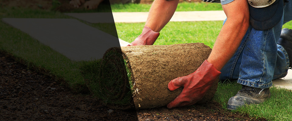 Texarkana Landscapers